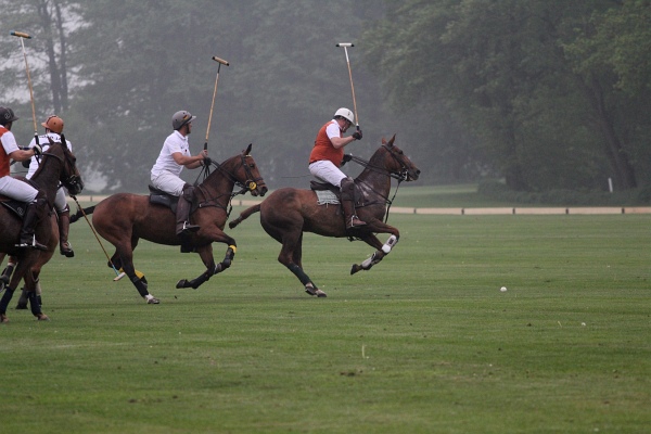 Polo_Art   115.jpg